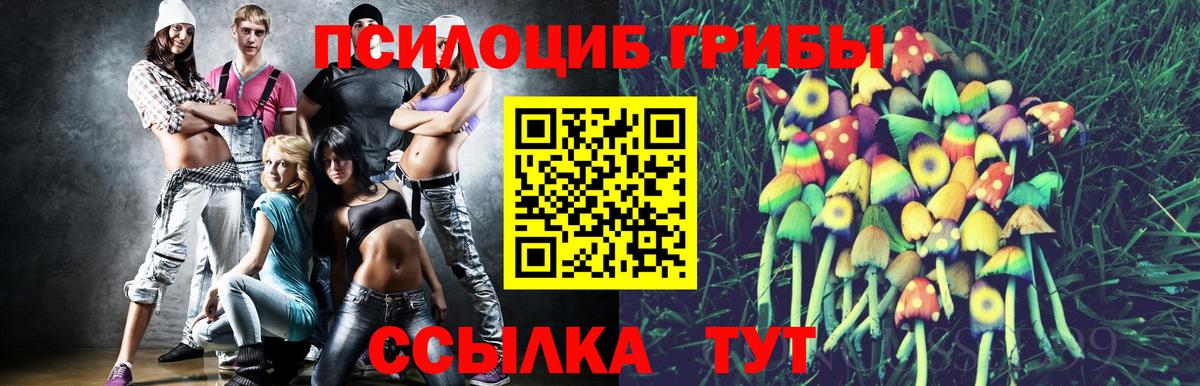 Галлюциногенные грибы прущие грибы Железногорск